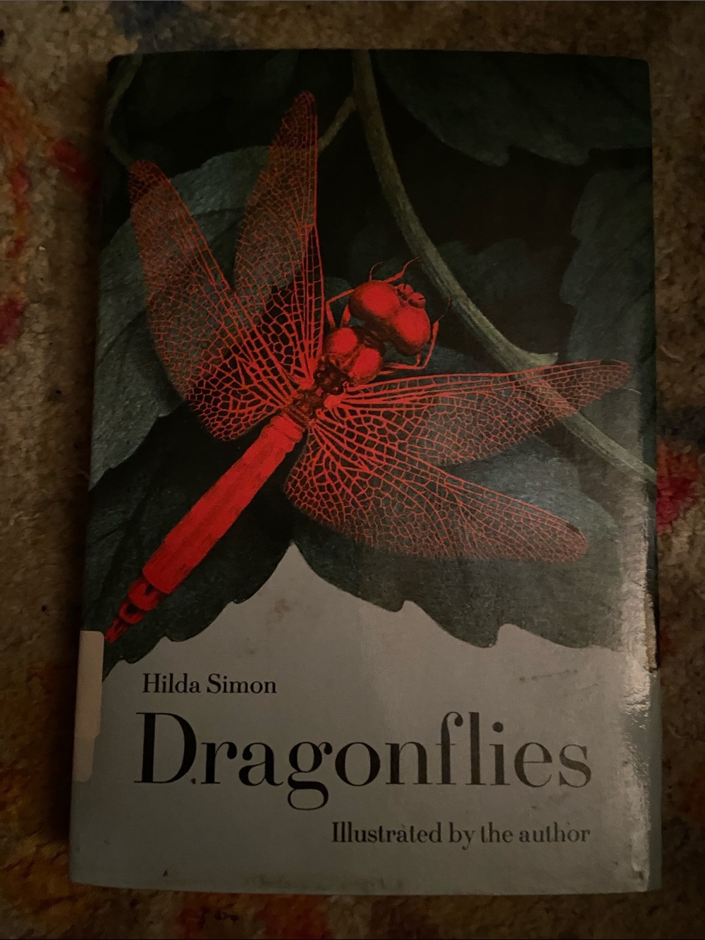 Vintage 70s 1970s nature insect illustrations Dragonflies Red Dragonfly wildlife